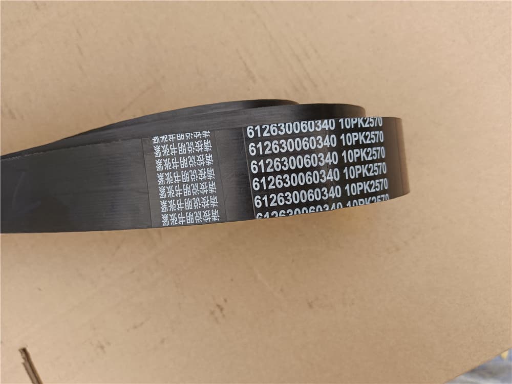 belt