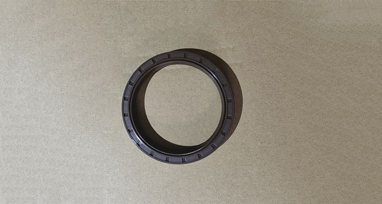 oil seal