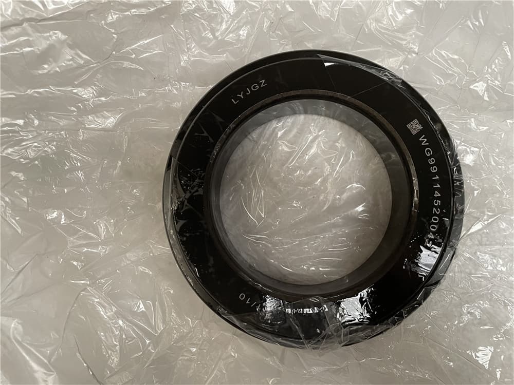 BALANCE SHAFT BEARING (BOGGY)