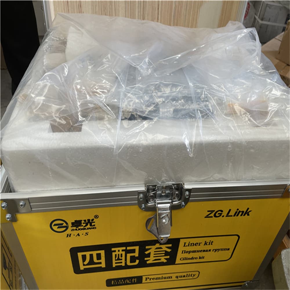 SHAANXI Liner kit VG1540030004