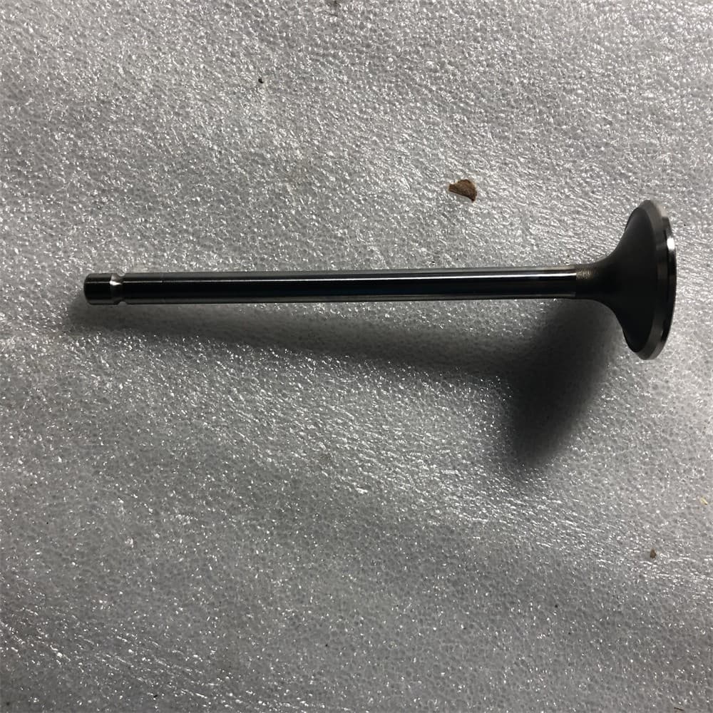 exhasut valve