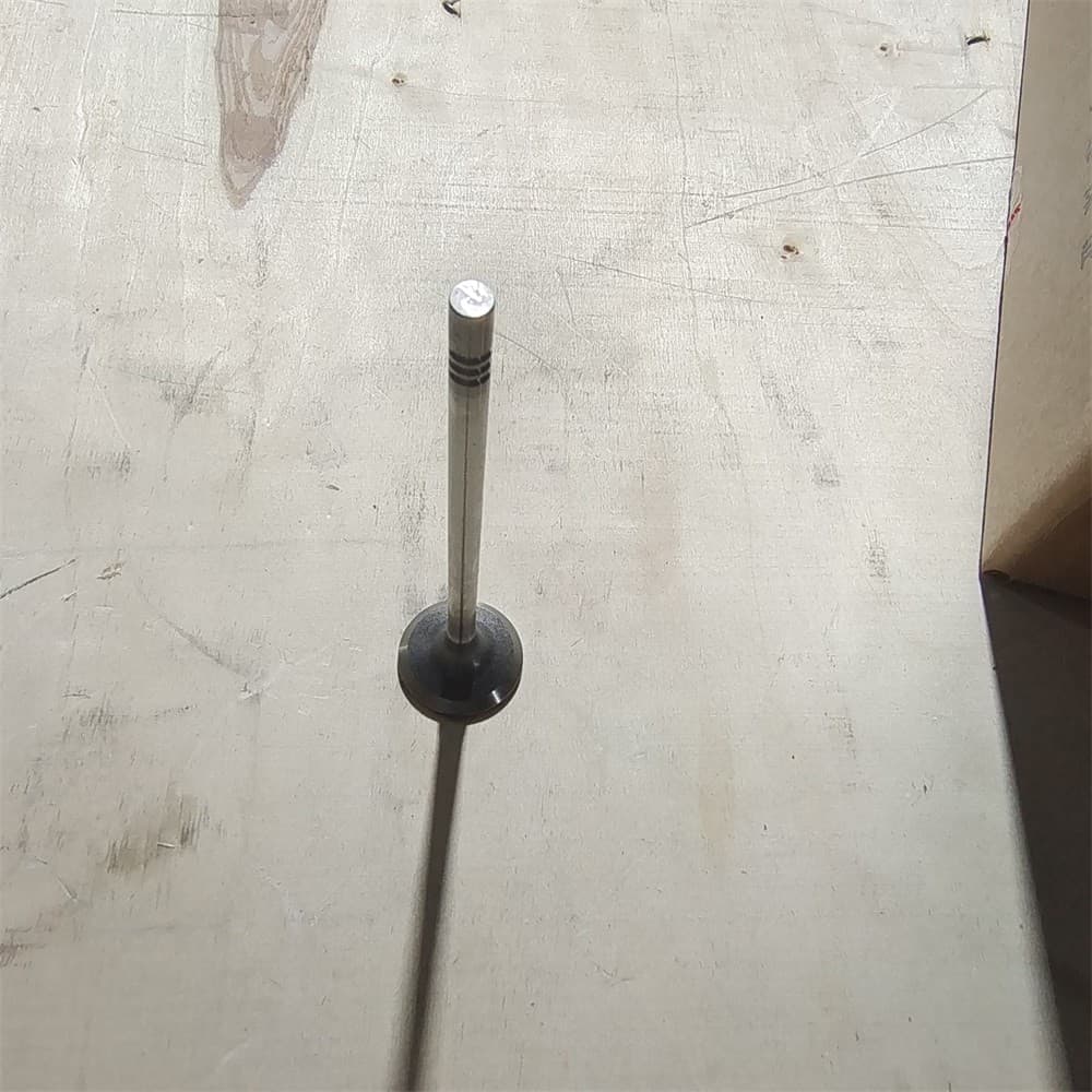Exhaust valve
