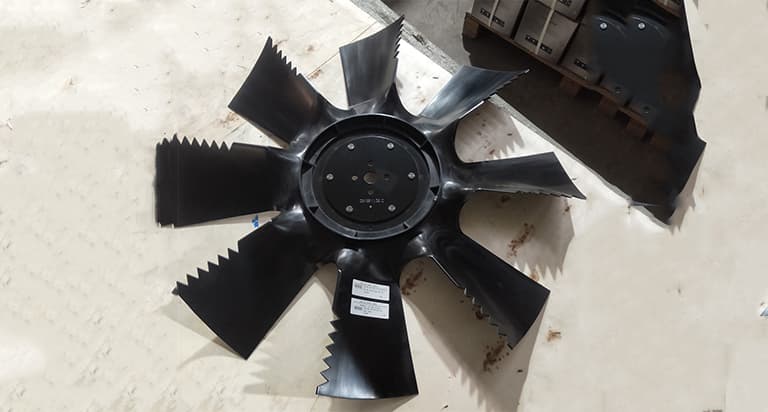 fan