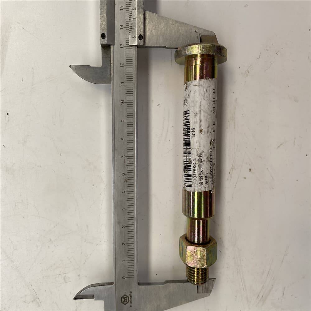 FOTON Bolt 1106929200013