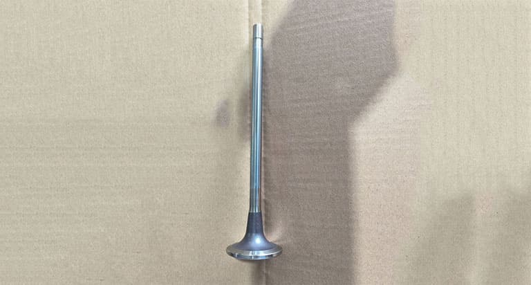 Intake valve