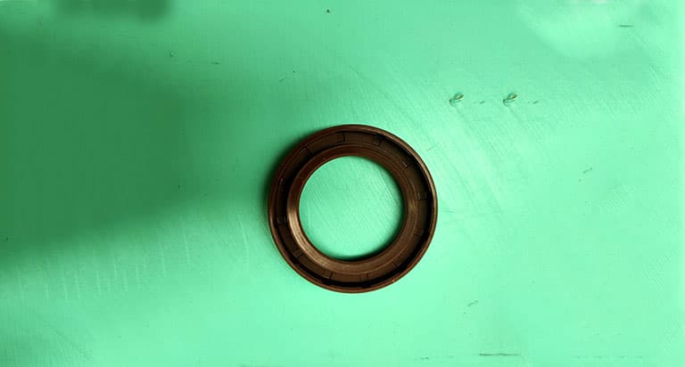 Input shaft oil seal