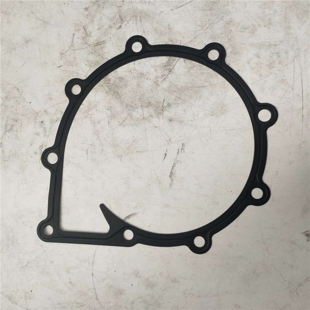 Water pump gasket