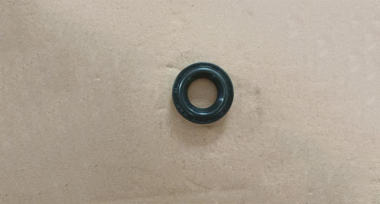 oil seal