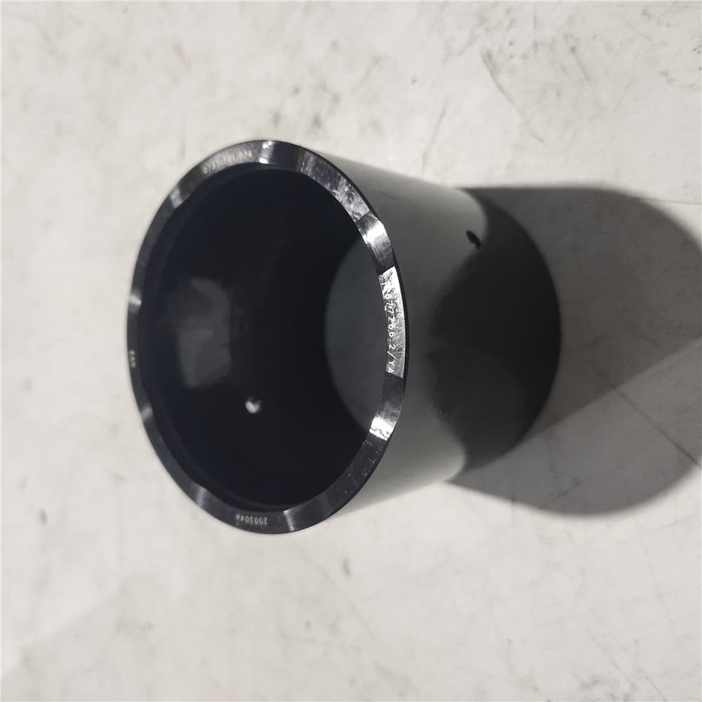 SINOTRUK BEARING INNER RING 0750.119.161