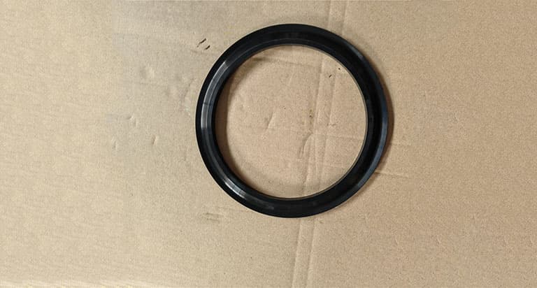 Differential seal ring