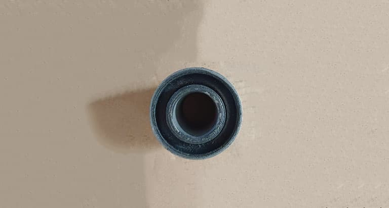 rubber bush