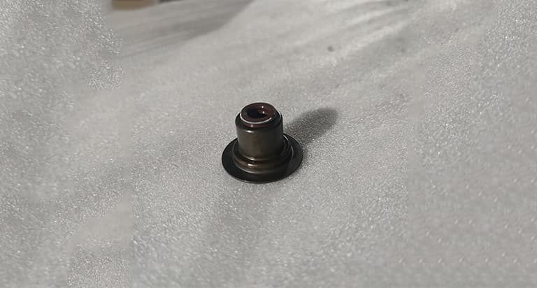 Exhaust valve oil seal