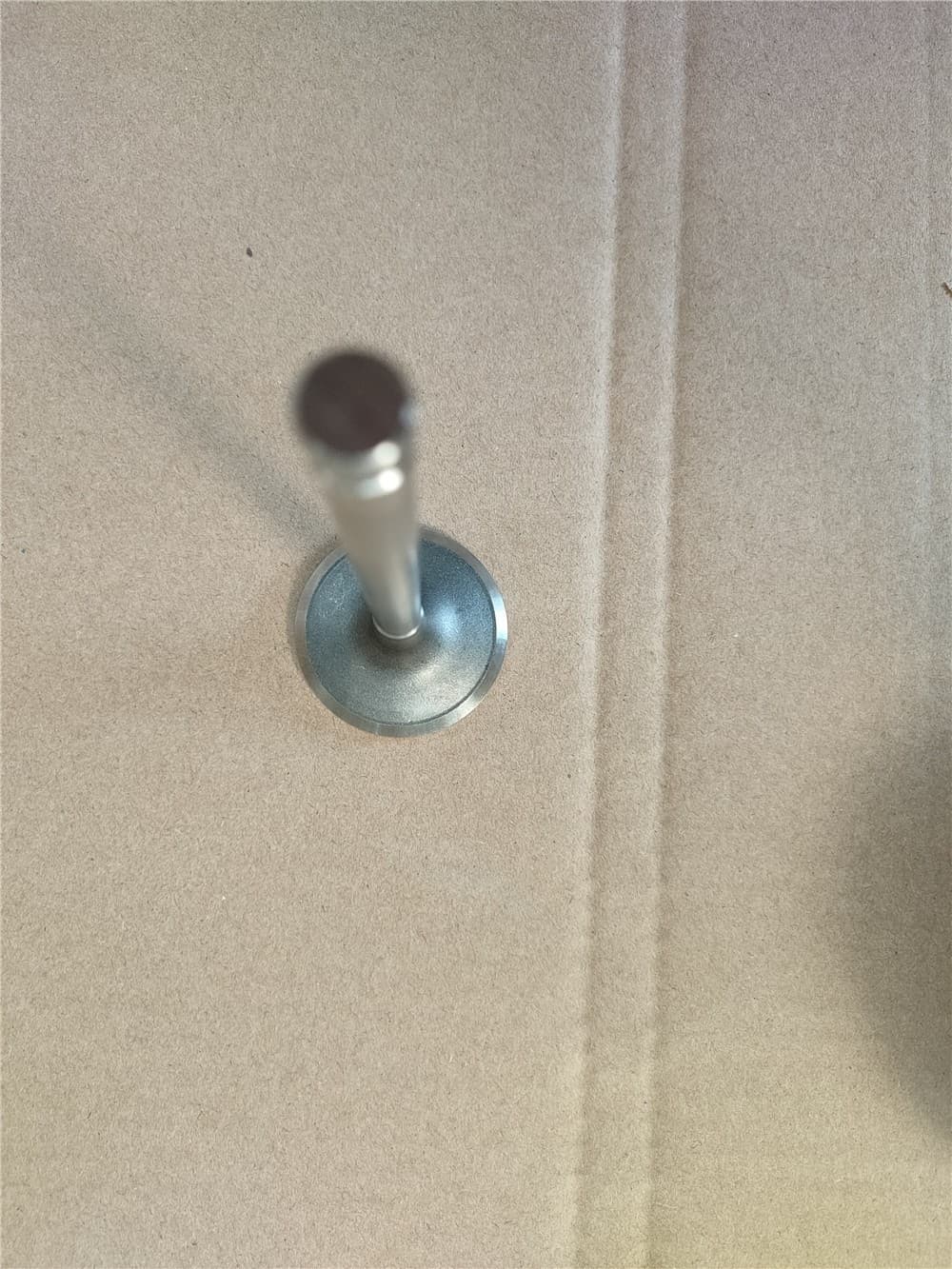 Valve Intake
