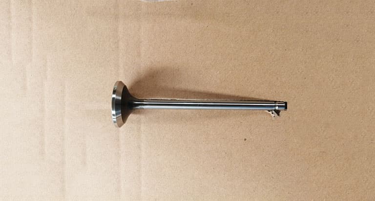 Naveco exhaust valve 5256949