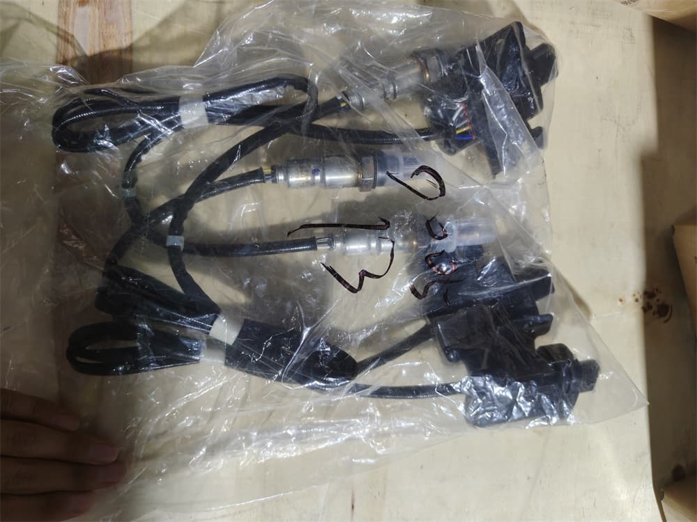 Oxygen sensor