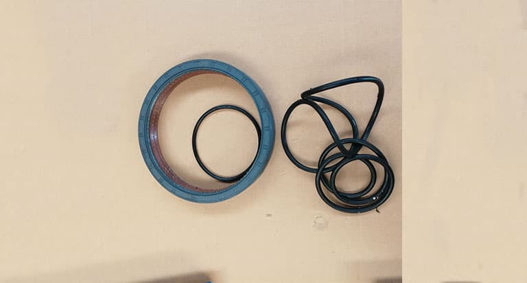 oil seal