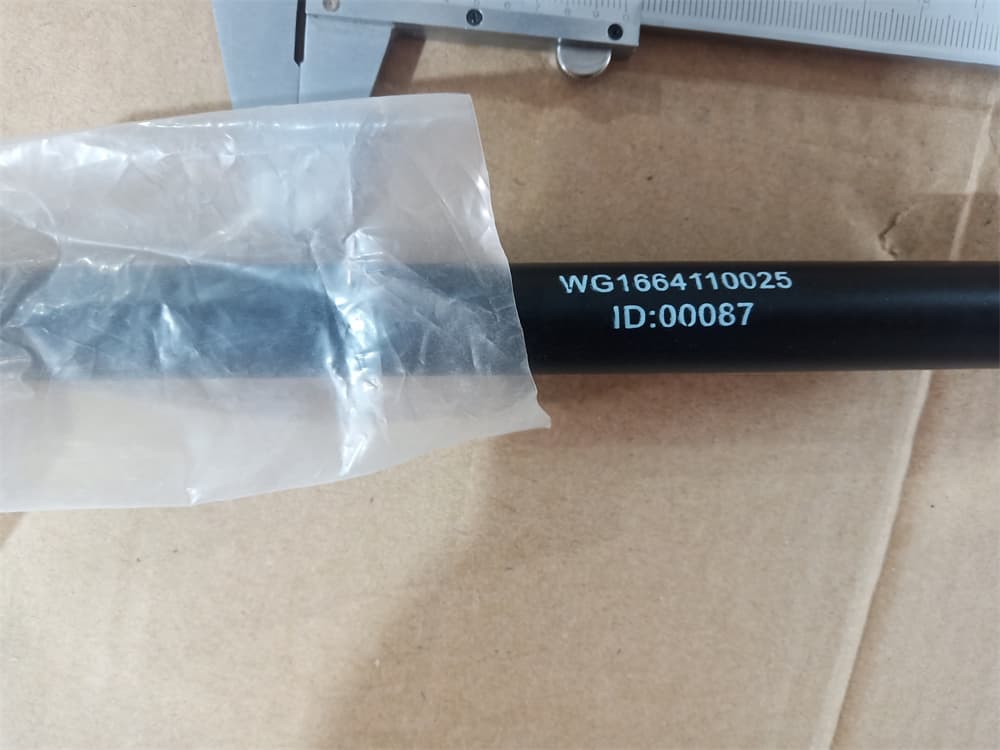 Gas spring support bolt