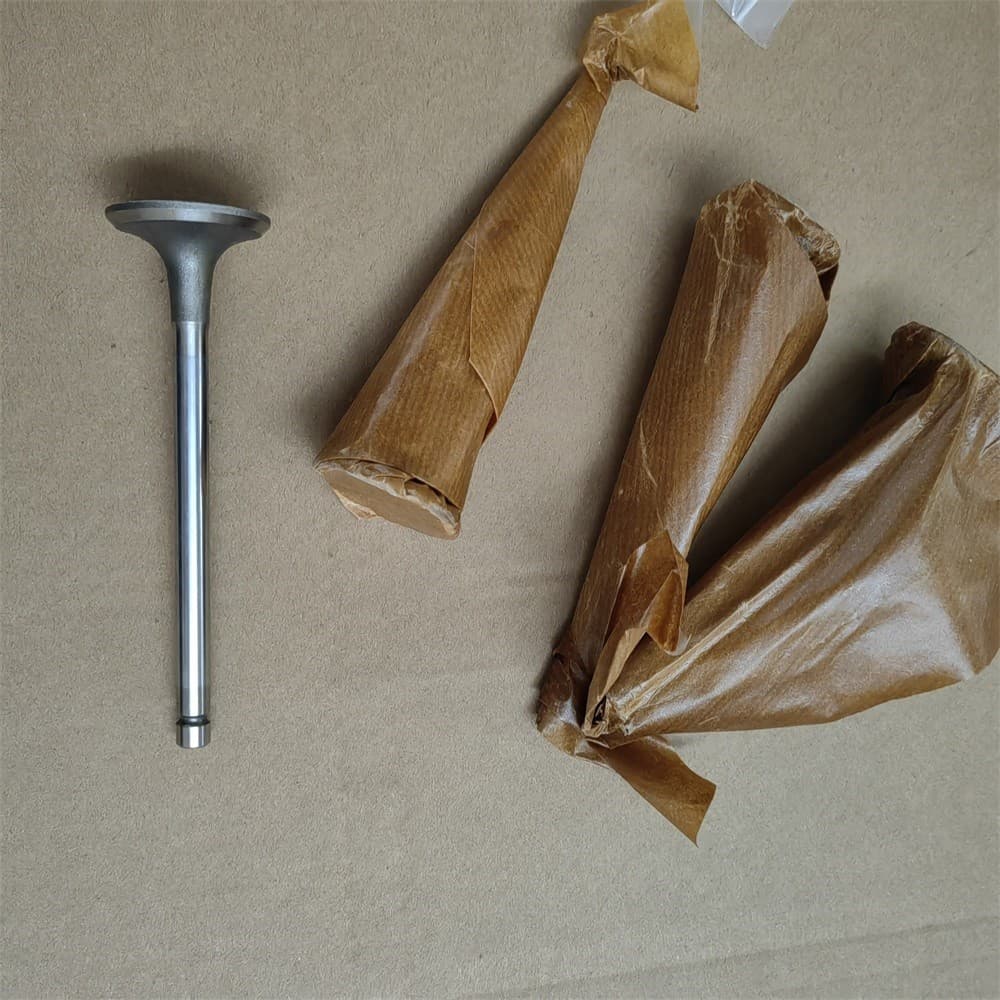SINOTRUK Exhaust valve 530-1007014D