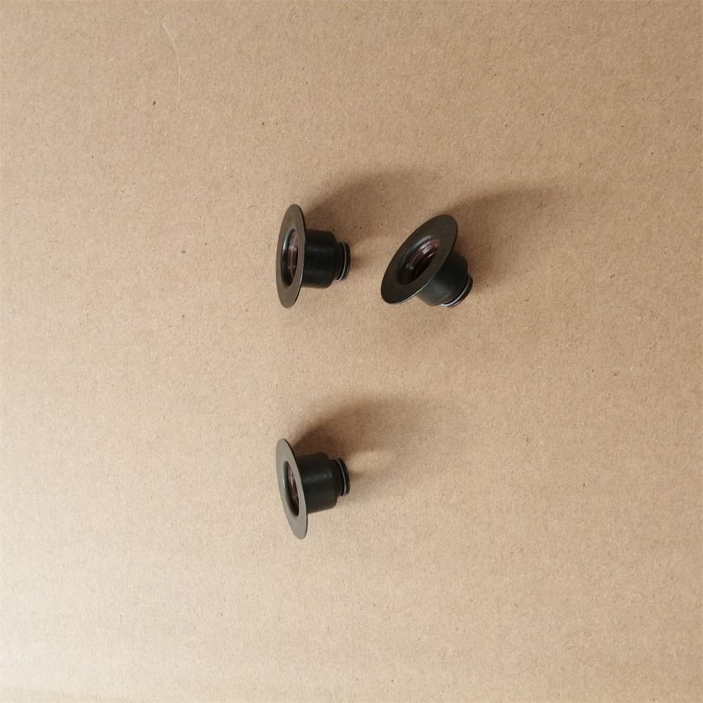 valve seal