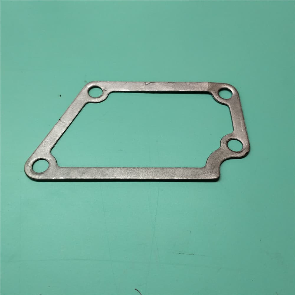 Thermostat gasket