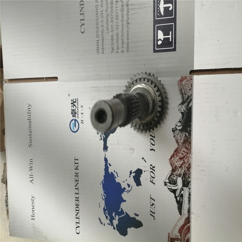 Input shaft Foton 1039 Euro III