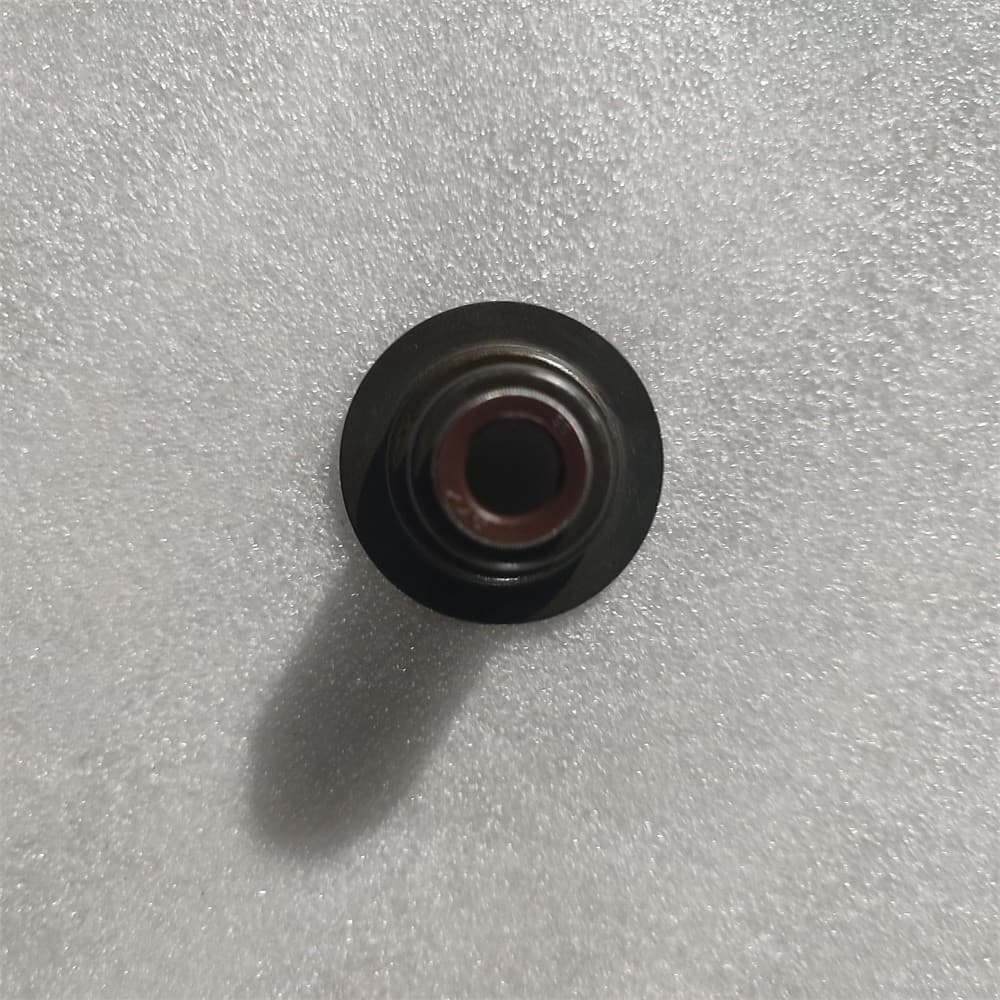 Exhaust valve oil seal