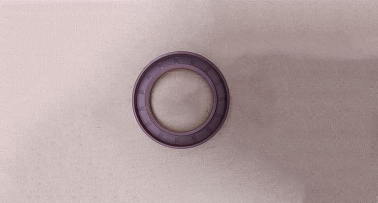 oil seal