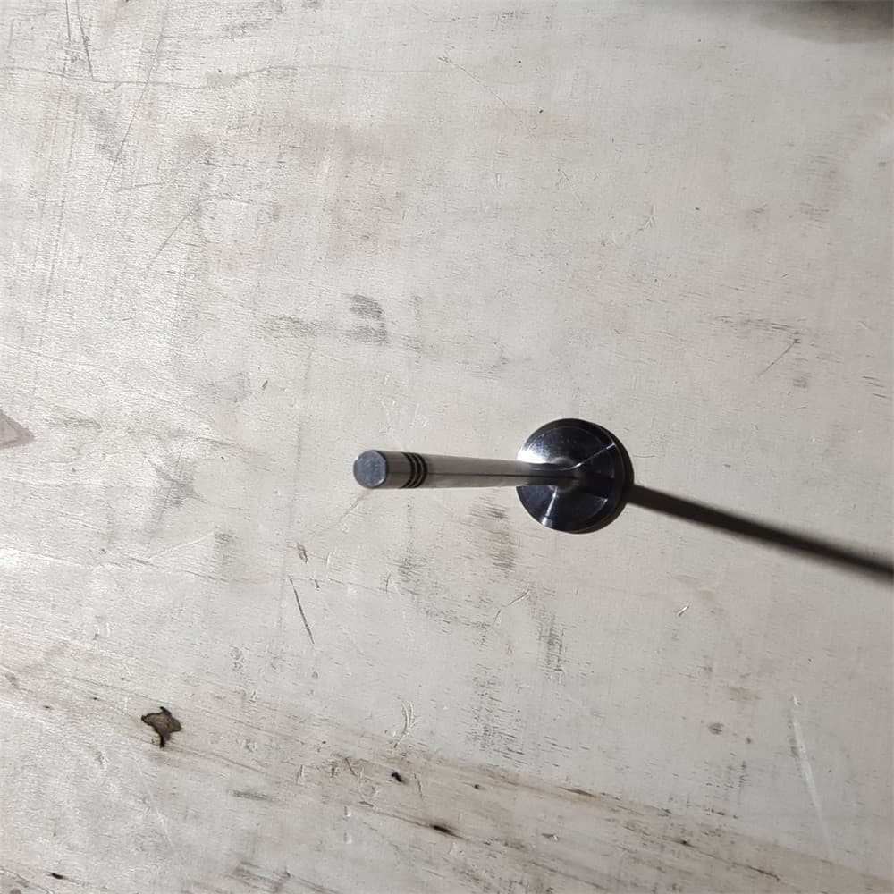 Intake valve
