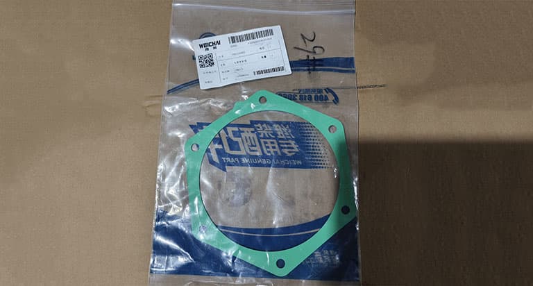 GASKET W/PUMP