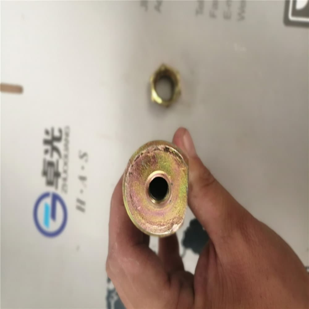 Rear ear pin