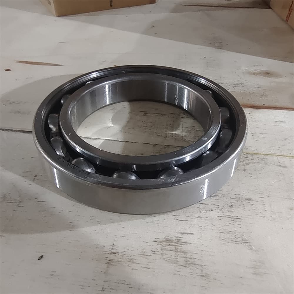 Deep groove ball bearing with dust cover