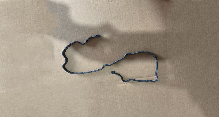 Mster oil seal gasket