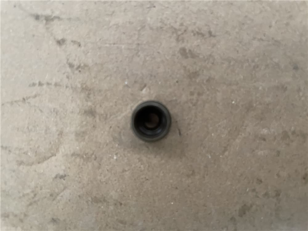 valve oil seal