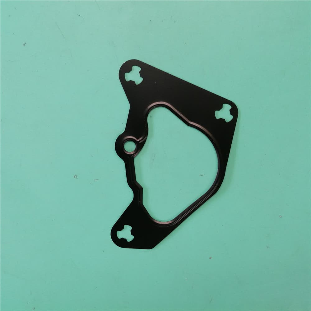 FOTON Vacuum pump gasket 5264426.3389249