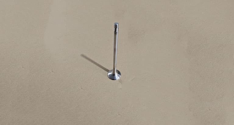 Exhaust Valve