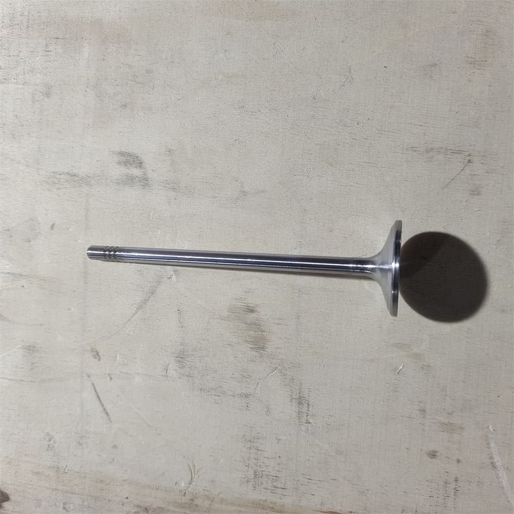Intake valve