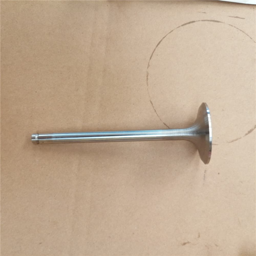 Inlet Valve