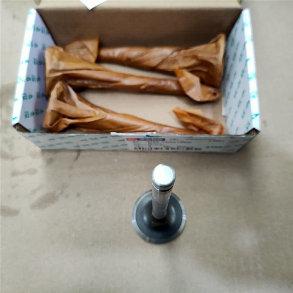 Exhaust valve