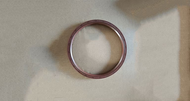 oil seal