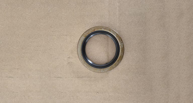 FOTON half shaft oil seal assy S6480H2-2400050(GPZ)A0225