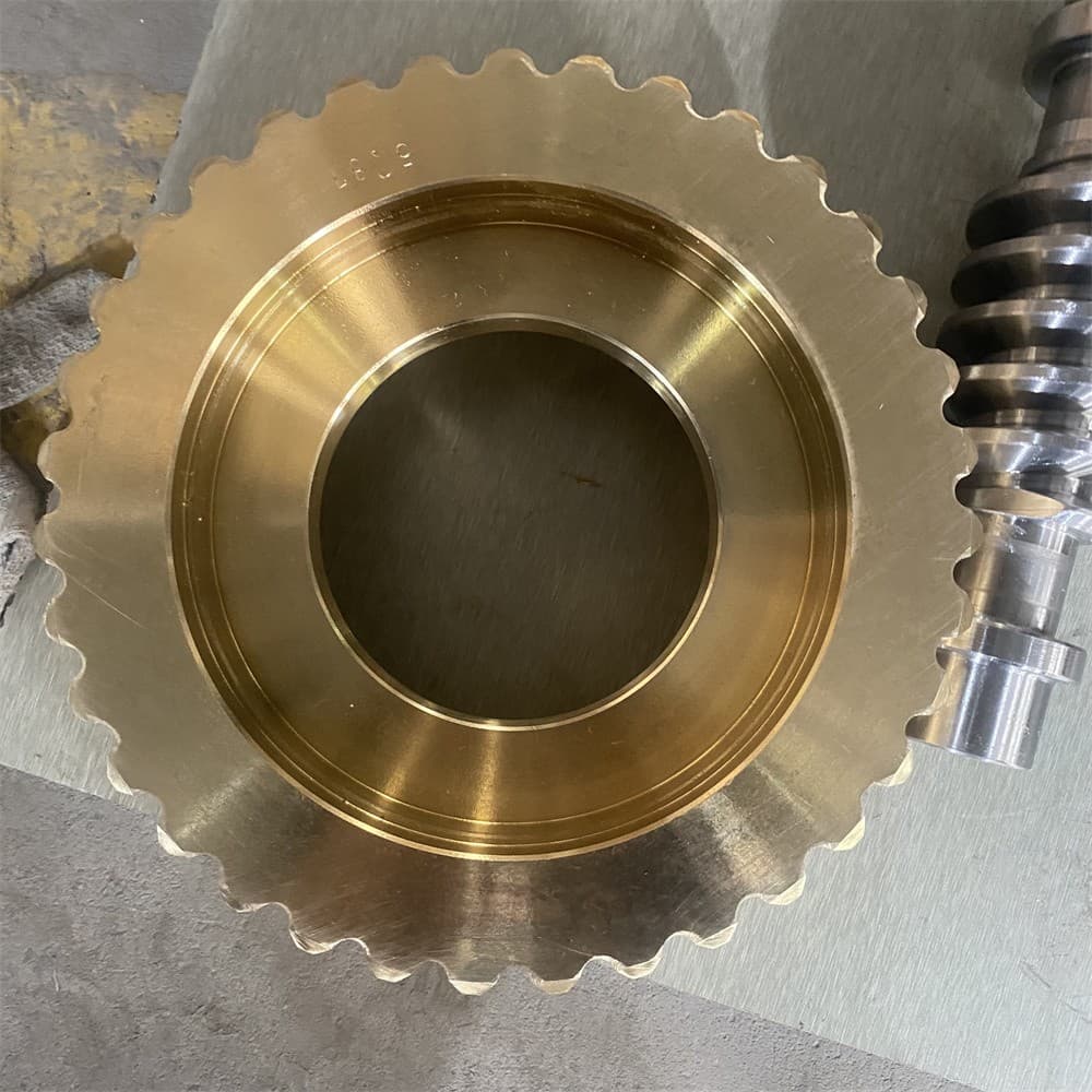 XCMG Worm Gear 273100564