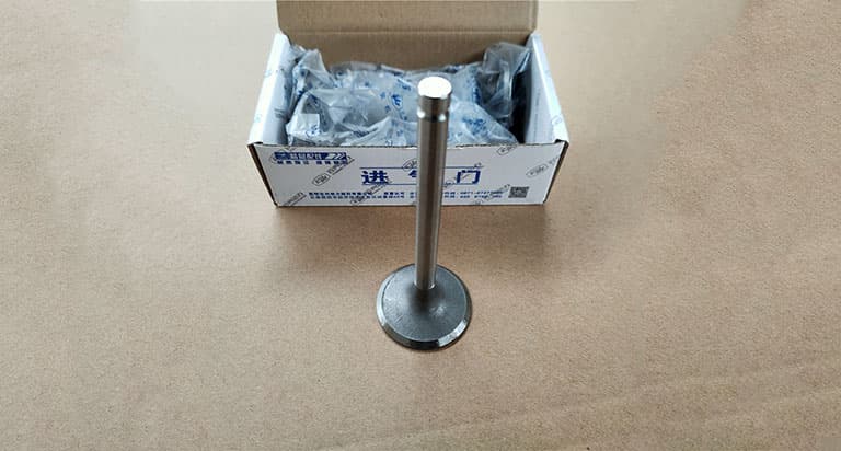 Intake valve