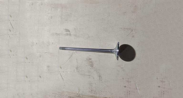 Intake valve