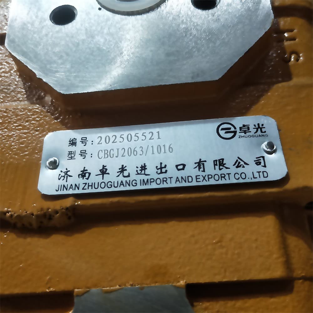 XCMG gear pump 11C0191