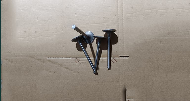 intake valve