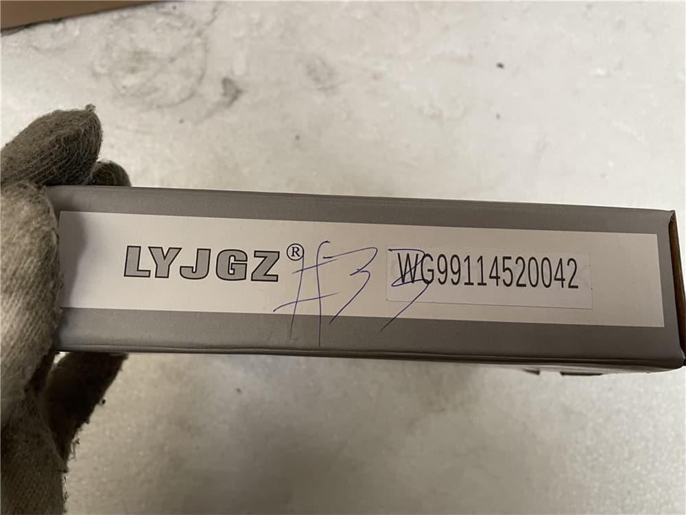BALANCE SHAFT BEARING (BOGGY)