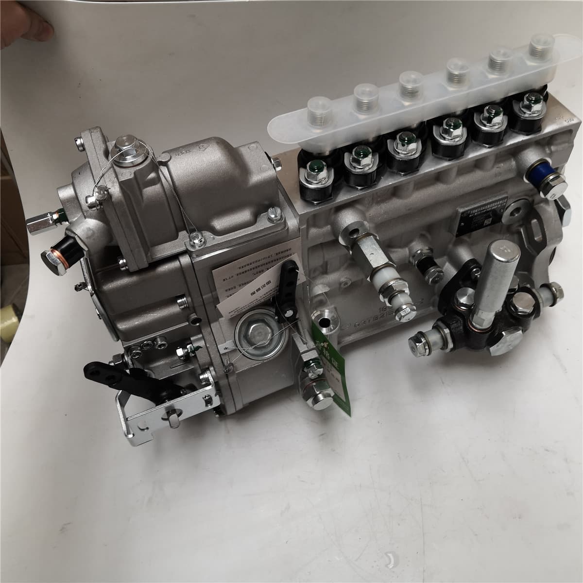 High pressure oil pump WP10