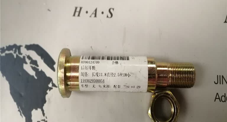 Rear ear pin