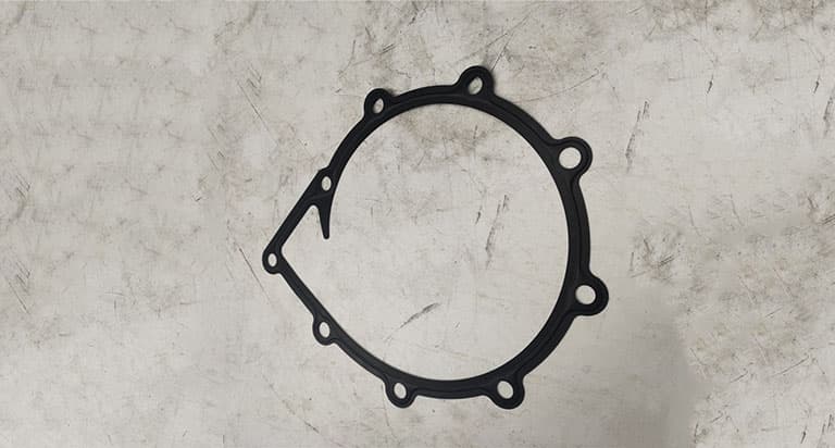 Water pump gasket