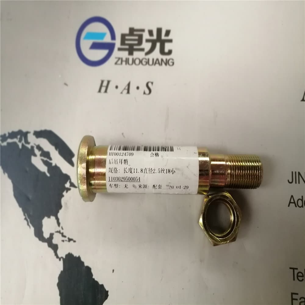 Rear ear pin